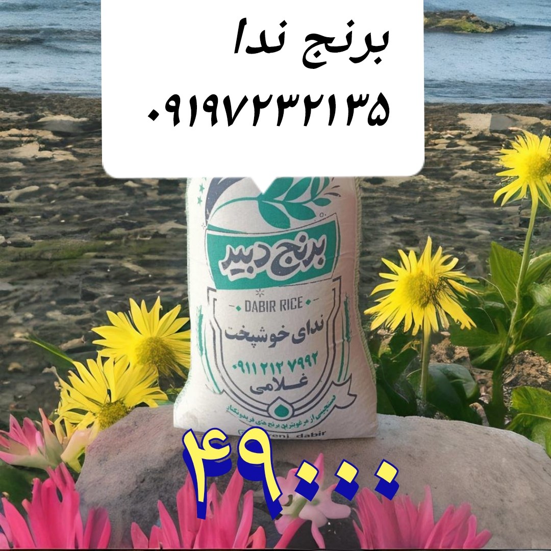 برنج ندا فریدونکنار 10 کیلویی (هزینه ارسال درب منزل دریافت می گردد)
