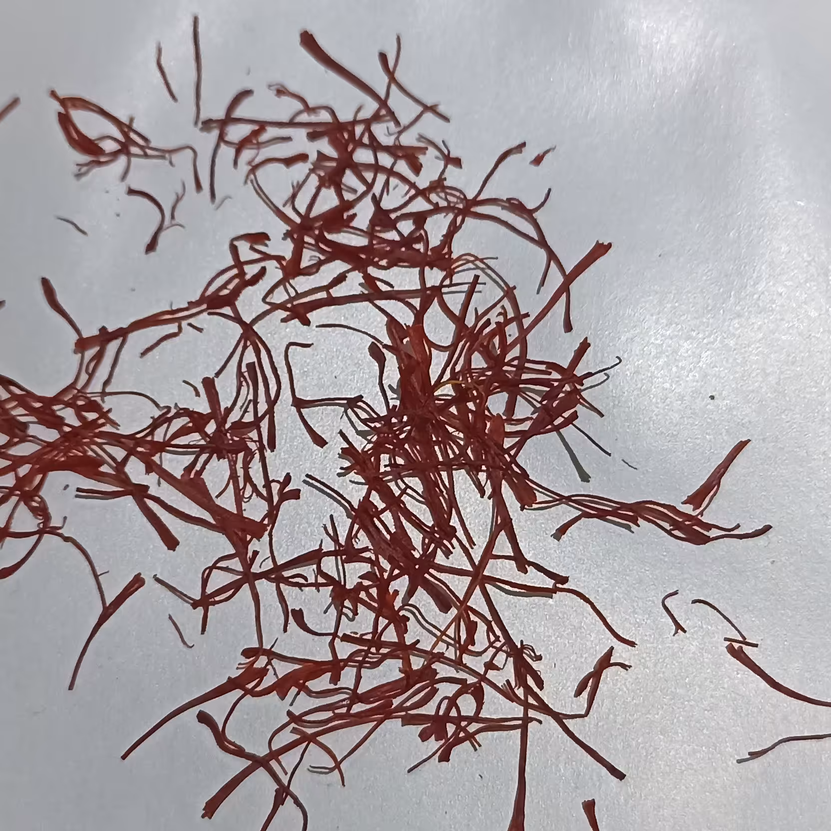 زعفران سرگل معمولی خراسان نیم مثقالی با کیفیت خوب