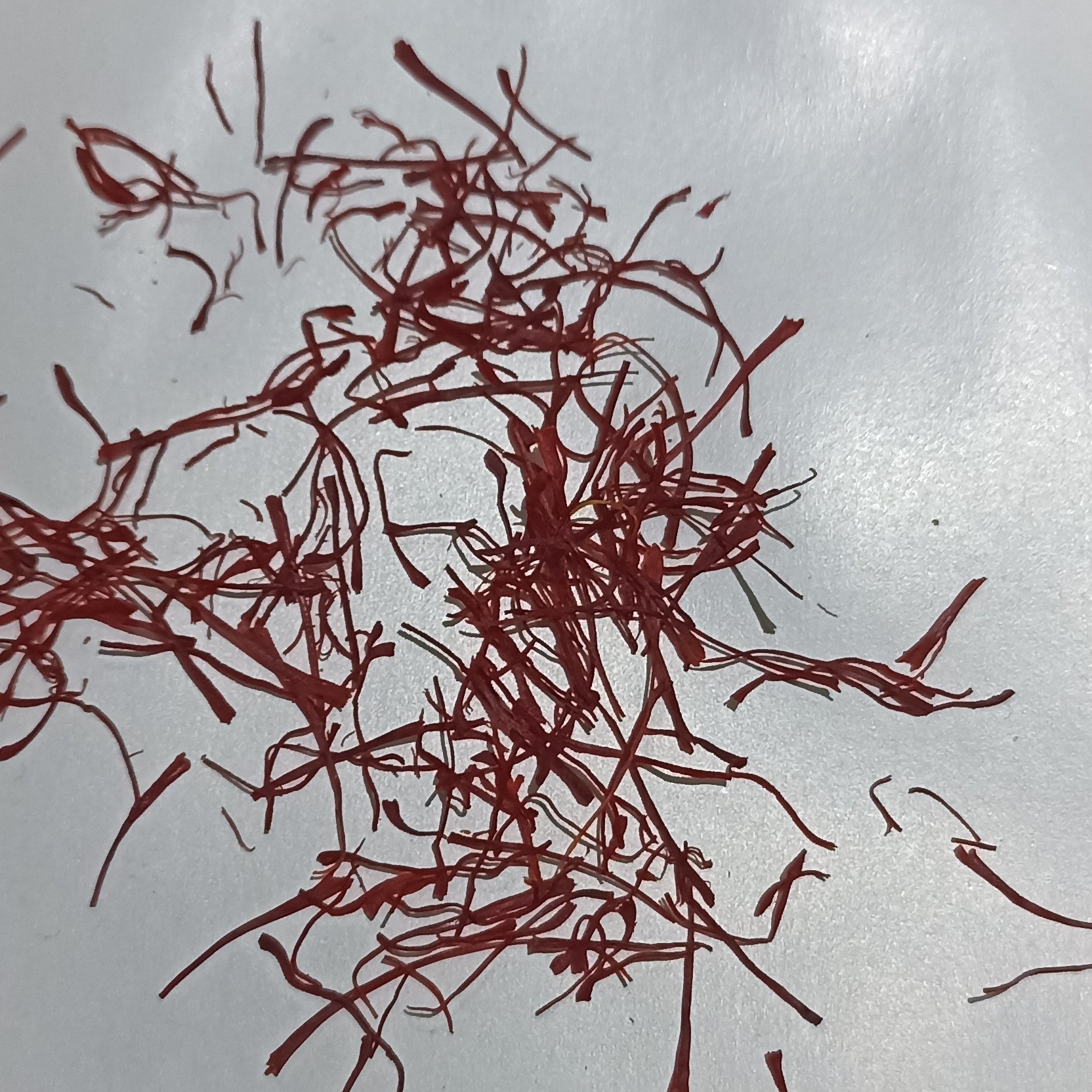 زعفران سرگل معمولی خراسان نیم مثقالی با کیفیت خوب