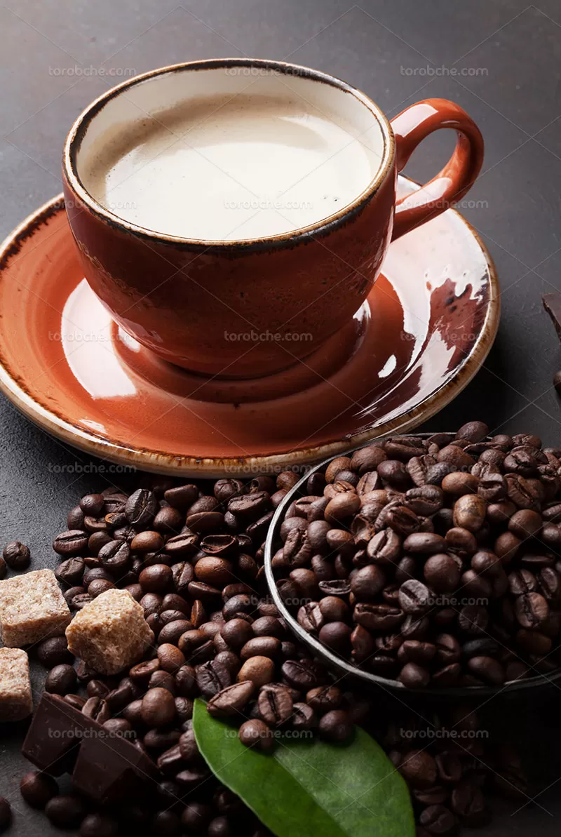 فایل عکس با کیفیت فنجان قهوه | گرافیک با طعم تربچه
