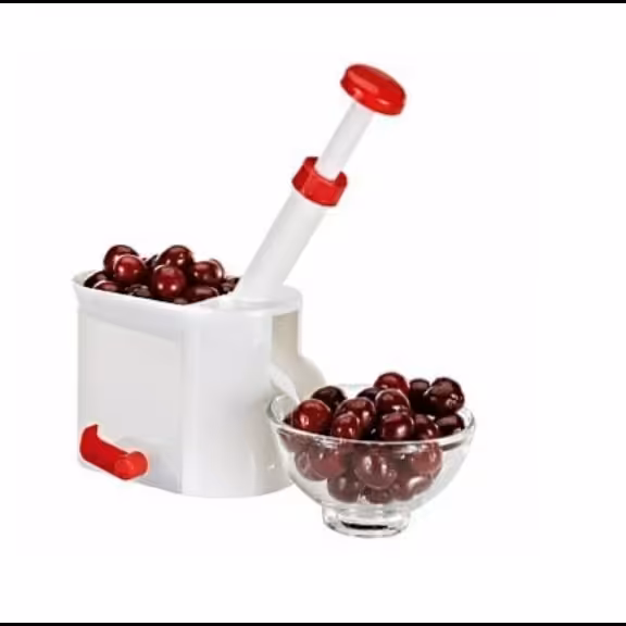 هسته گیر تکتا