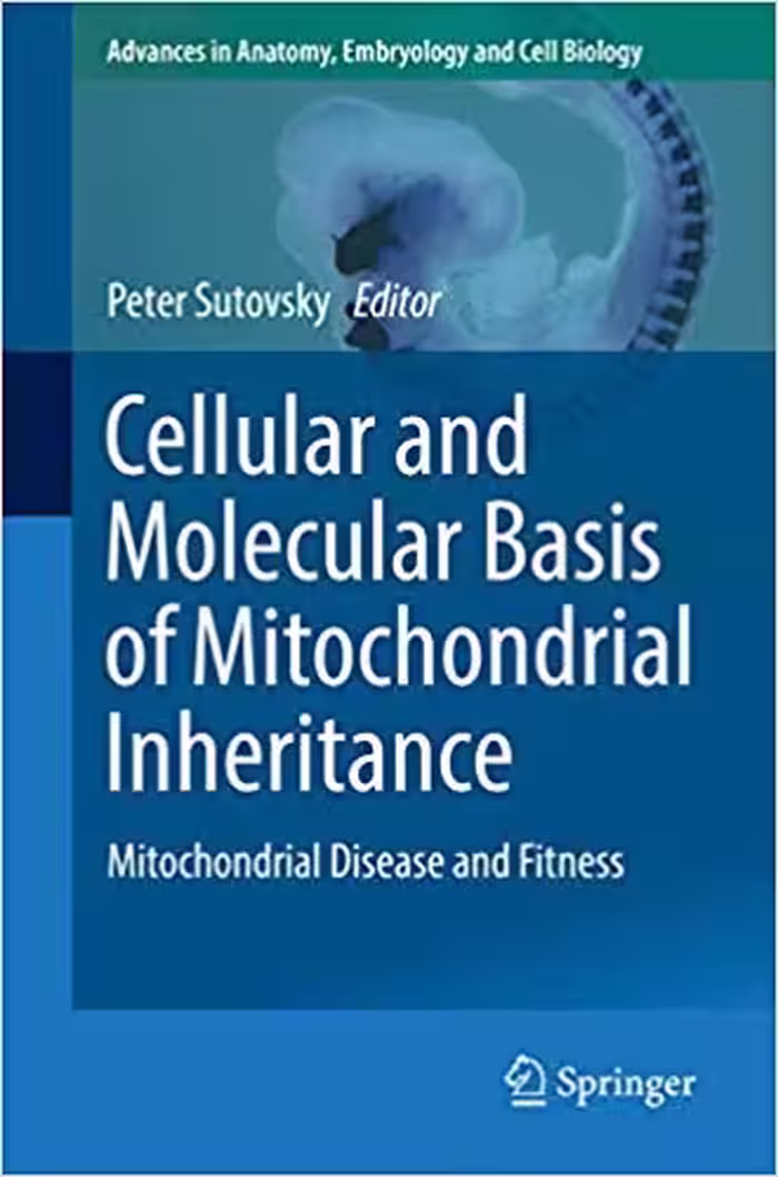 󾕇 دانلود کتاب Cellular And Molecular Basis Of Mitochondrial Inheritance - Mitochondrial Disease And Fitness, 2019 - دانلود کتاب های دانشگاهی