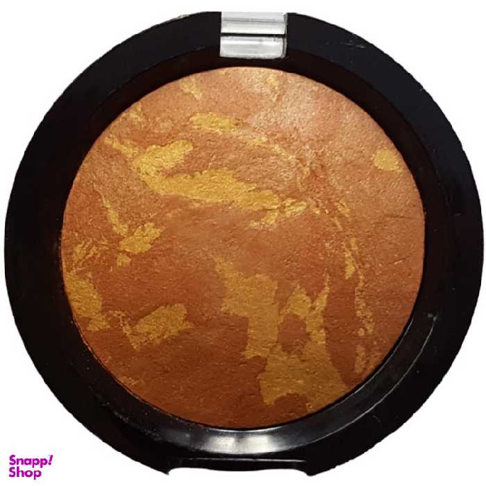 رژ گونه باریش (Barish) مدل Terracotta شماره 203