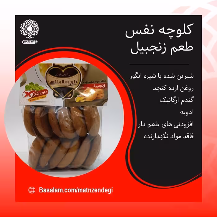 کلوچه نفس طعم زنجبیل (کیفیت تضمینی و طبیعی)