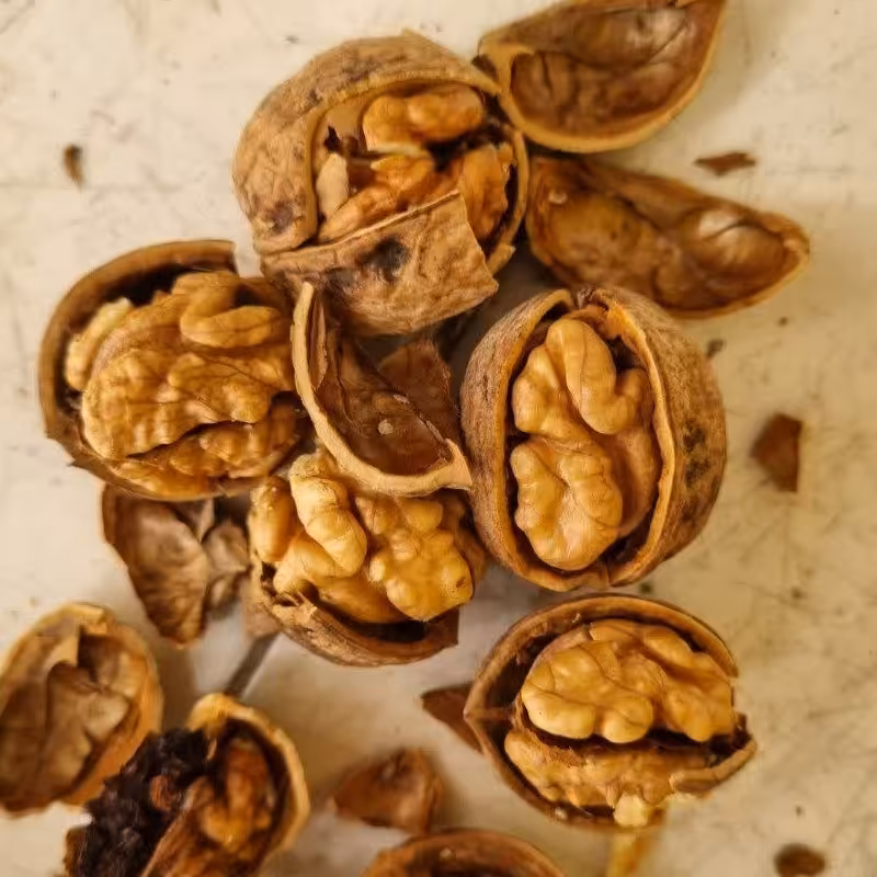 گردو  با  پوست ملایر  پر چرب بسته 900 گرمی 