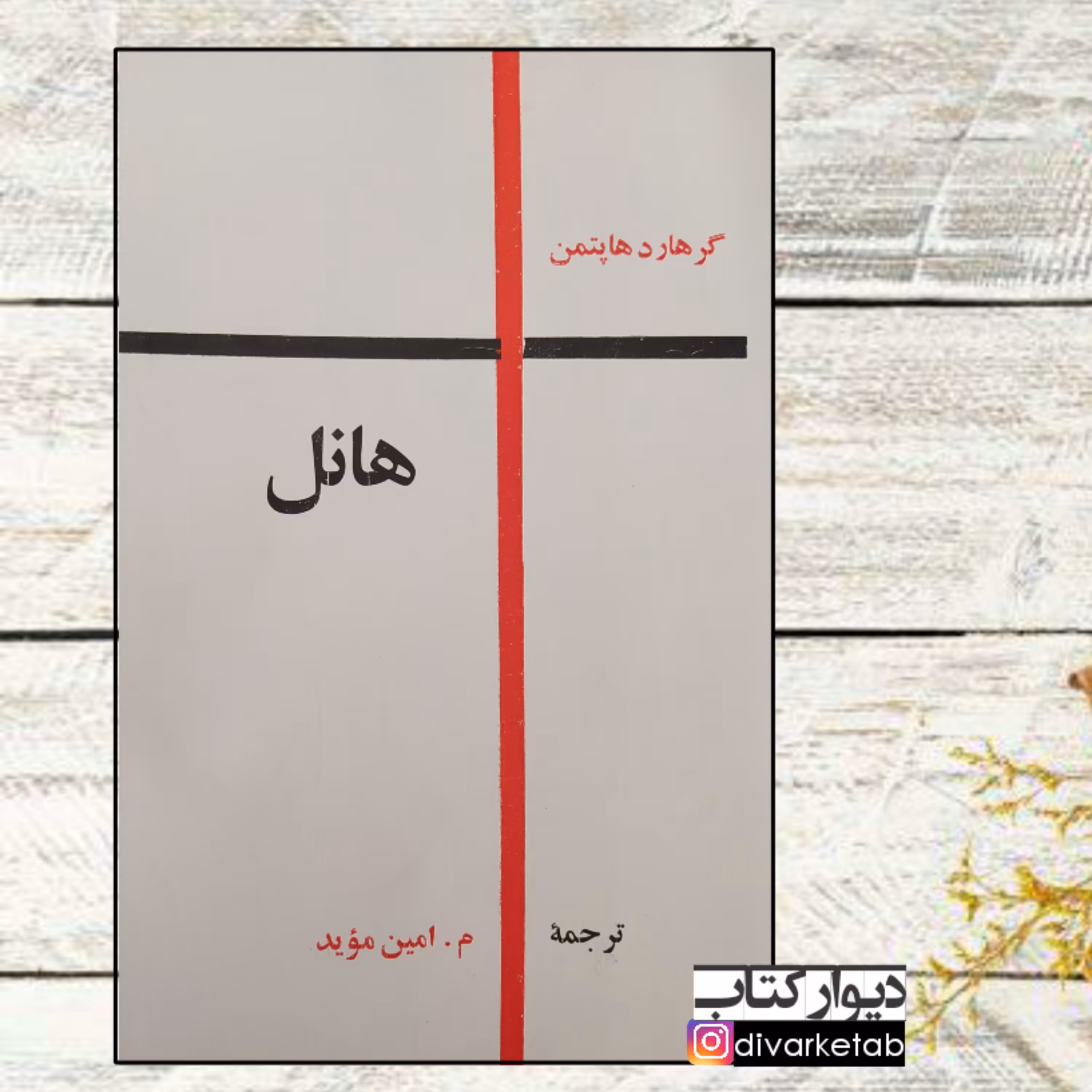 کتاب هانل اثر گرهارد هاپتمن با تخفیف ویژه ترجمه م امین موید کتاب کمیاب و اصل