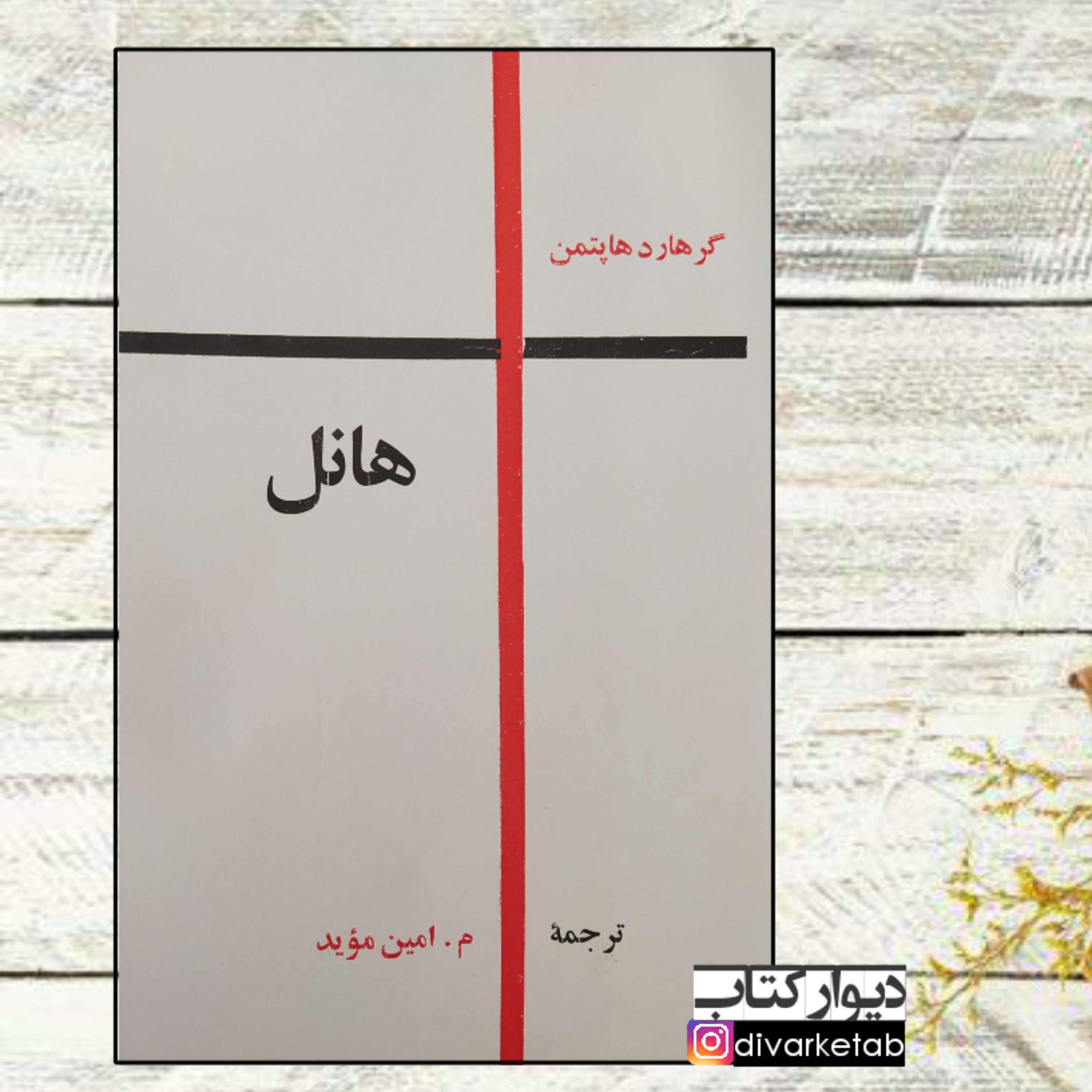 کتاب هانل اثر گرهارد هاپتمن با تخفیف ویژه ترجمه م امین موید کتاب کمیاب و اصل