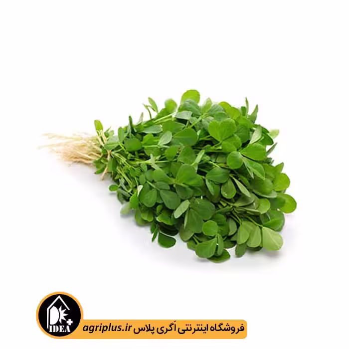 بذر شنبلیله RHOSHAN 55