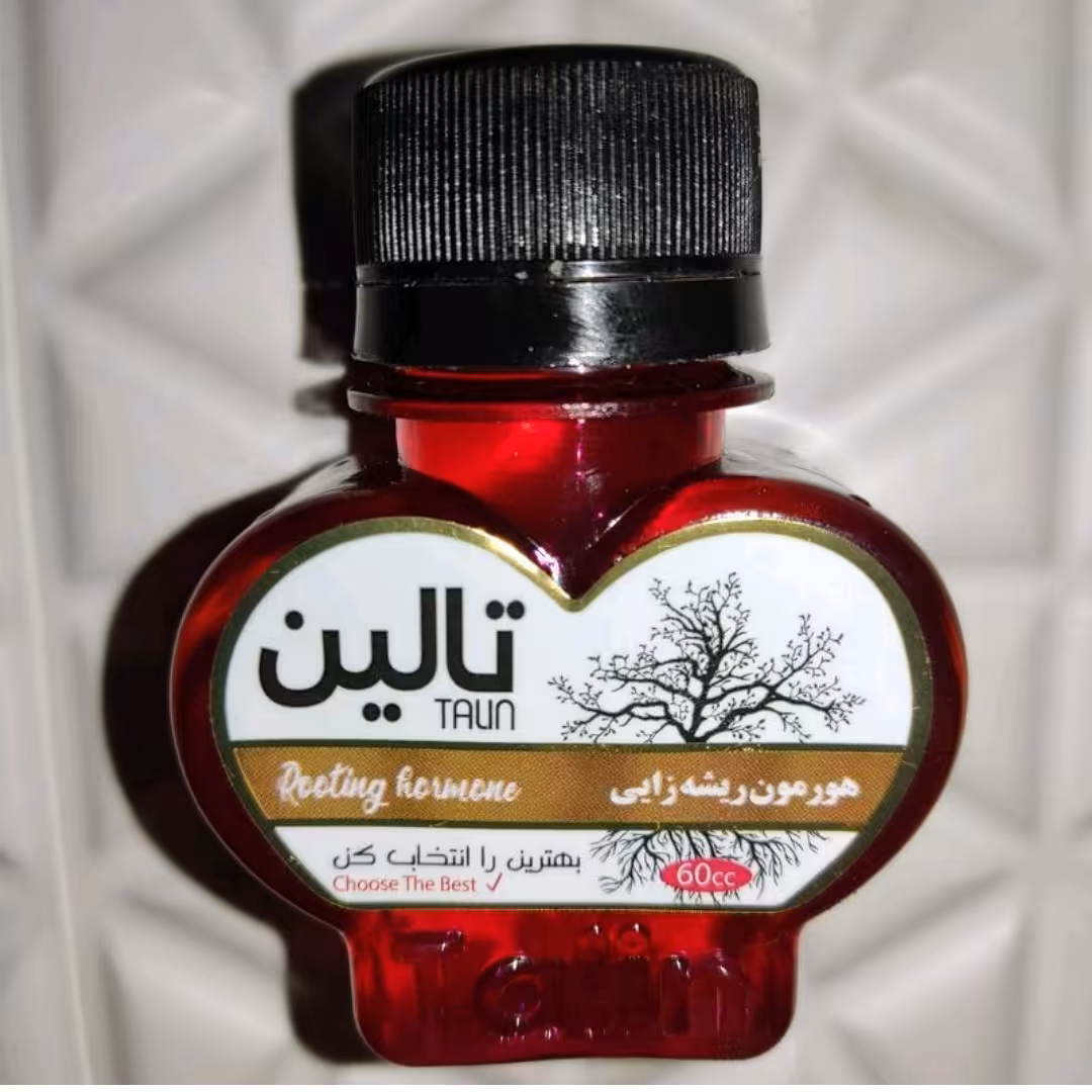 محلول ریشه زایی