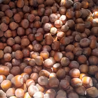 فندق ارگانیک اشکورات 