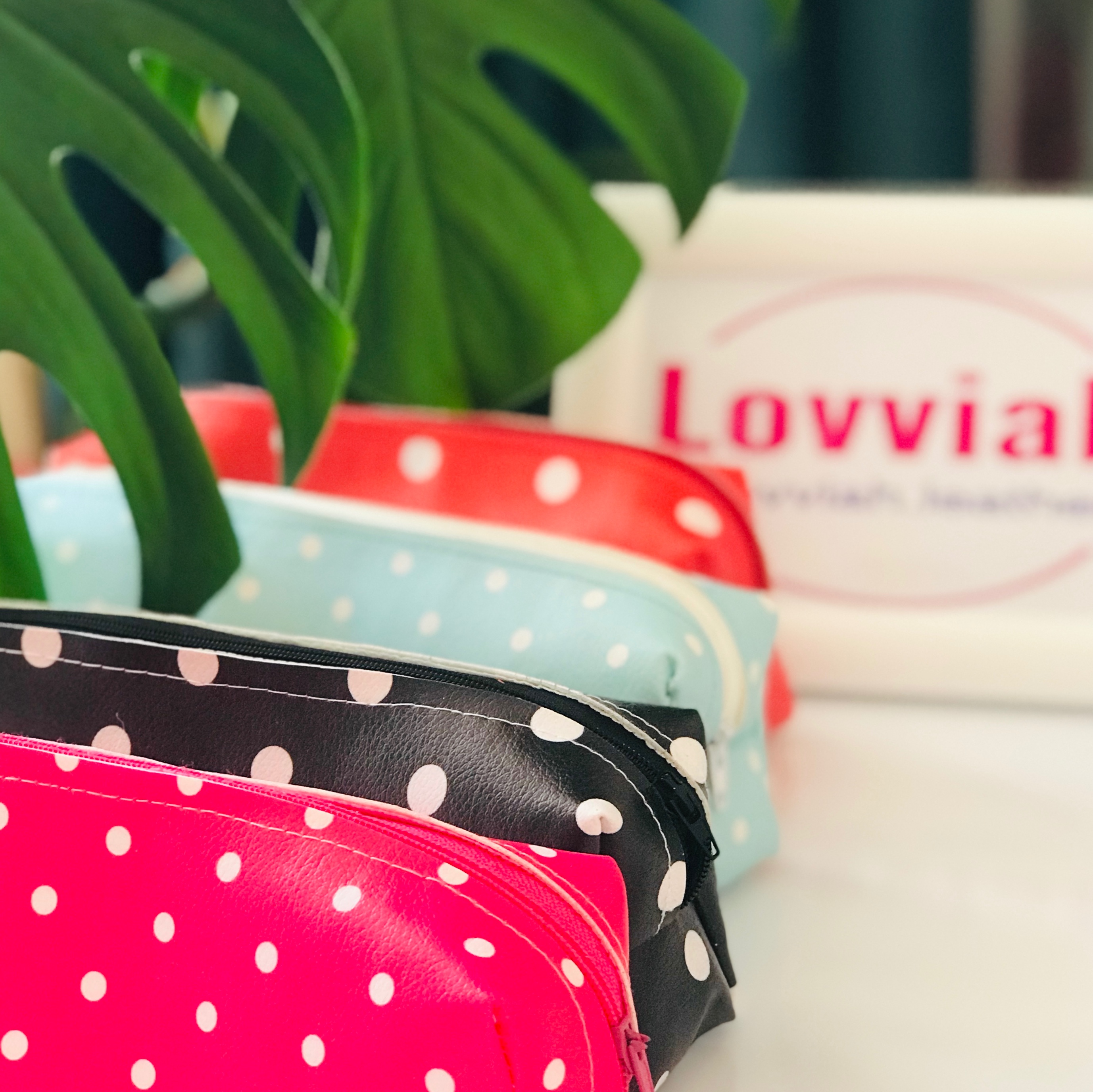 جامدادی خال خالی