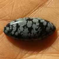 نگین شجر برفی محششر شااهکار خلقت 100درصد طبیعی
بی نظیییر
