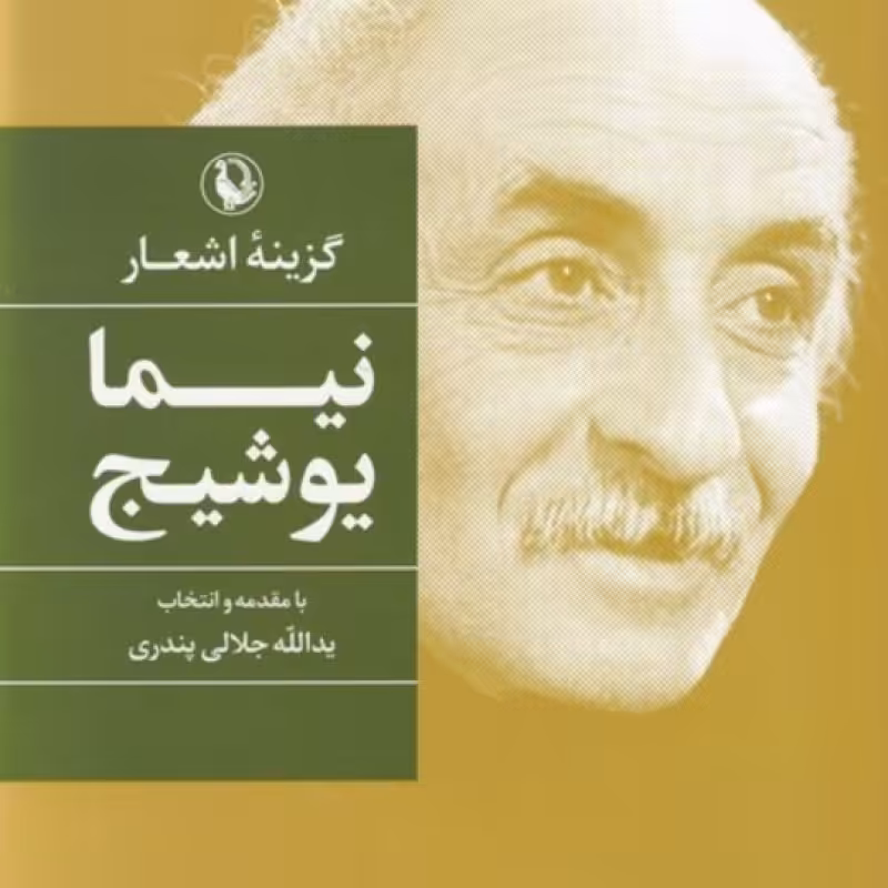 کتاب گزینه اشعار نیمای وشیج قطع رقعی