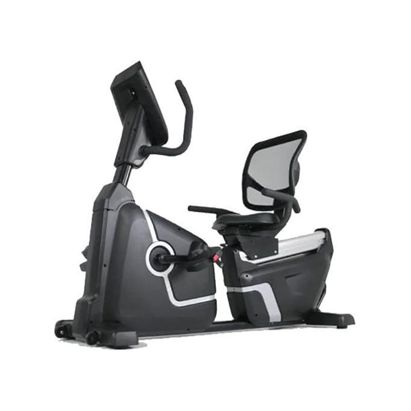 دوچرخه ثابت باشگاهی پشتی دار دیادورا مدل 0020R