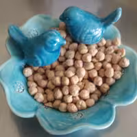 نخود دیم محلی بدون کود شیمیایی