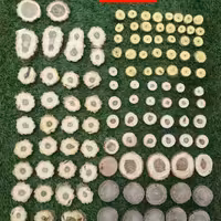 چوب و محصولات ان 