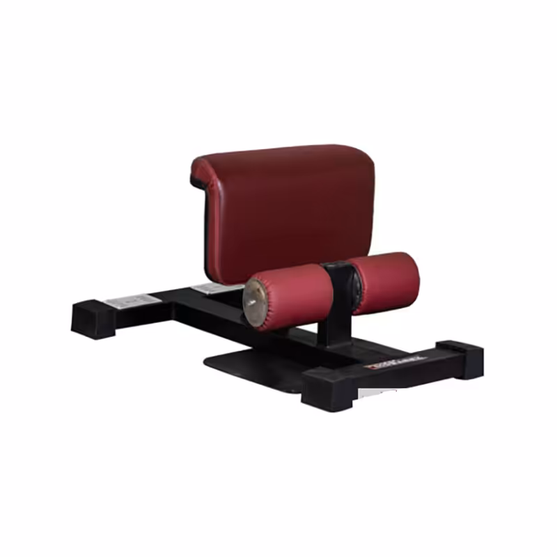 نیمکت اسکات سوئیسی مبارز