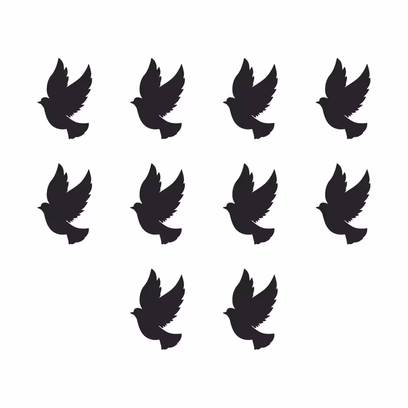 استیکر مدل پرواز پرنده کد km-fly-332 مجموعه 10 عددی