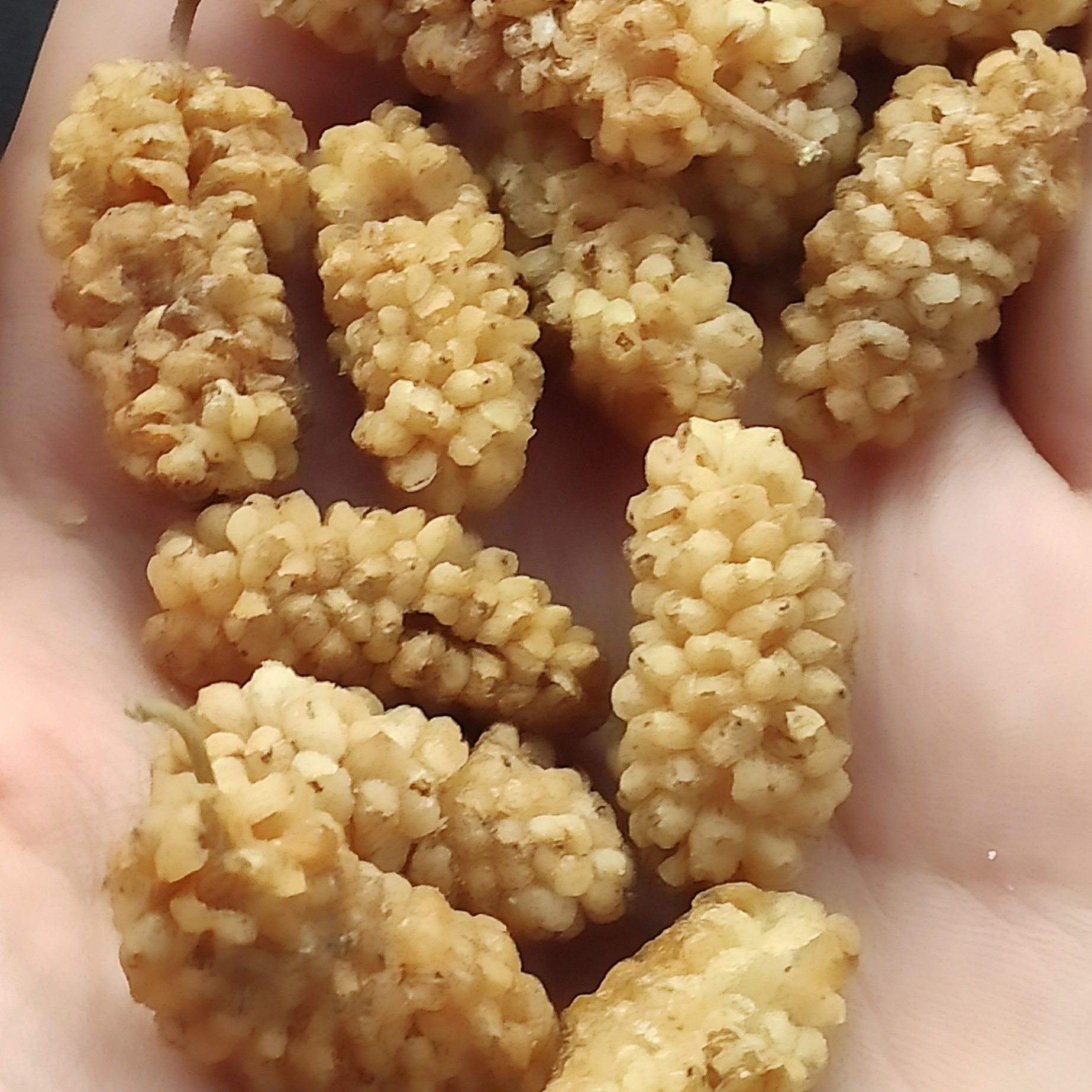 توت خشک سوپر ممتاز 250 گرم 130