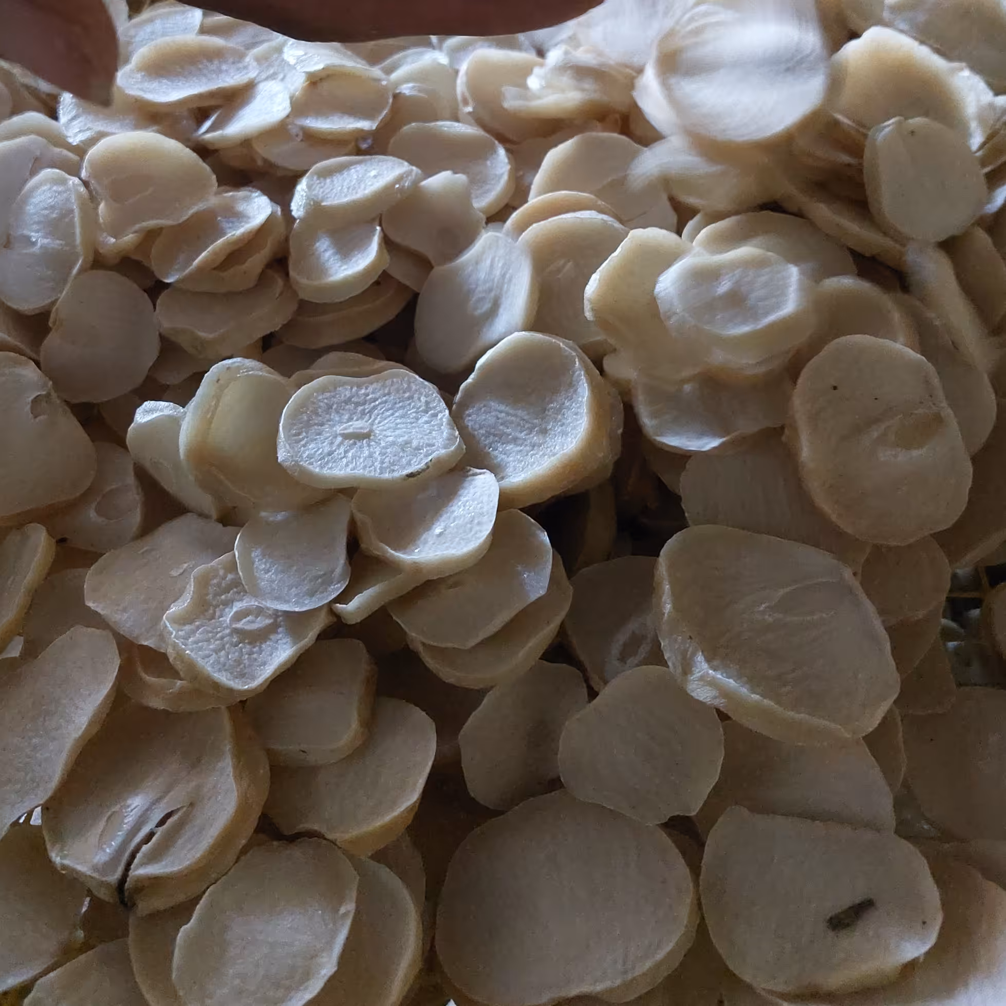 موسیر کوهی پرک  شده و خشک شده دو کیلویی