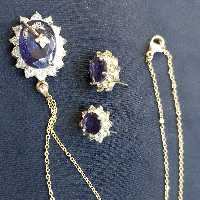 سرویس مجلسی