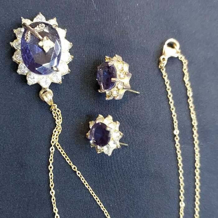 سرویس مجلسی