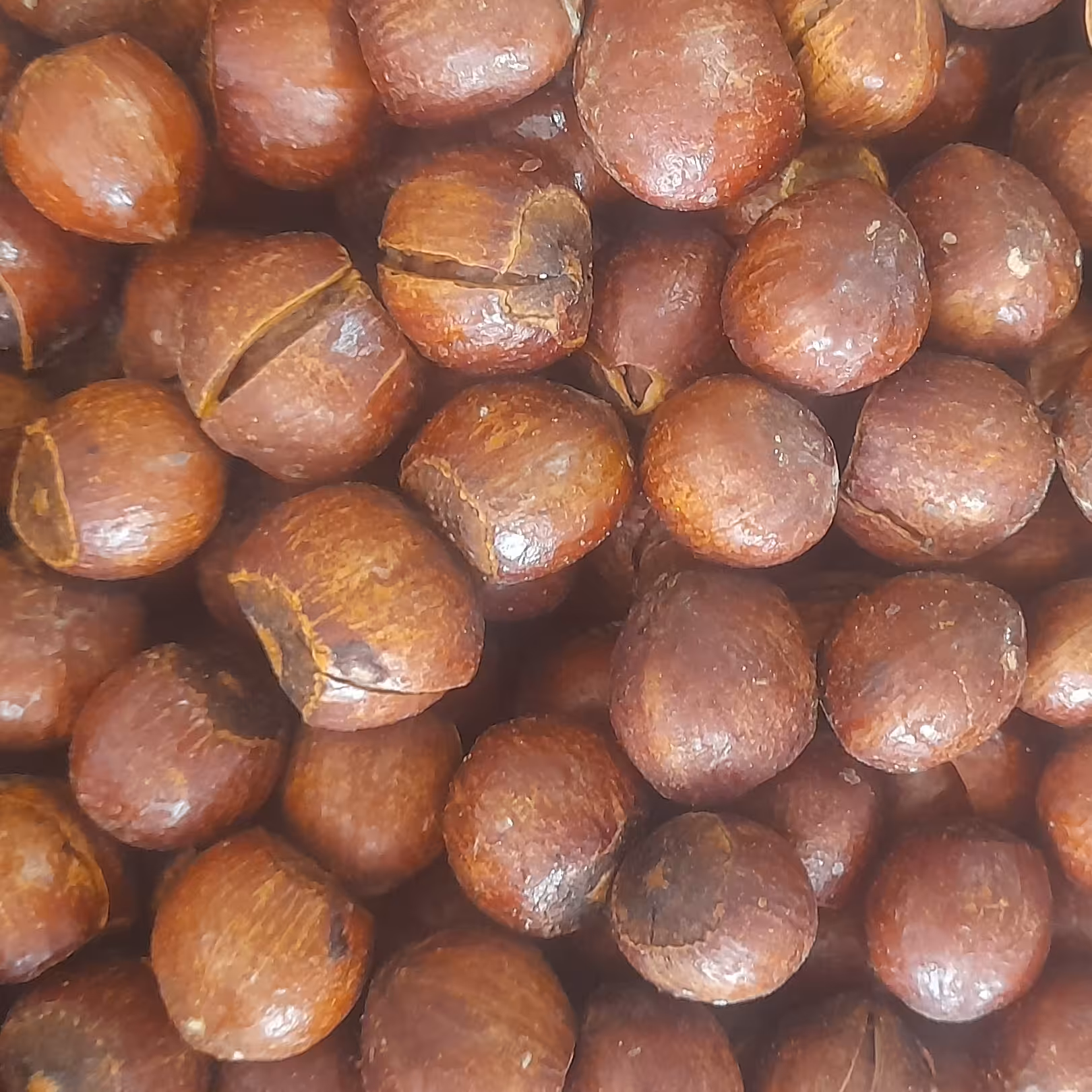 فندق بو داده اعلا  1000 گرمی    