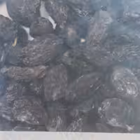 مویز بی دانه 