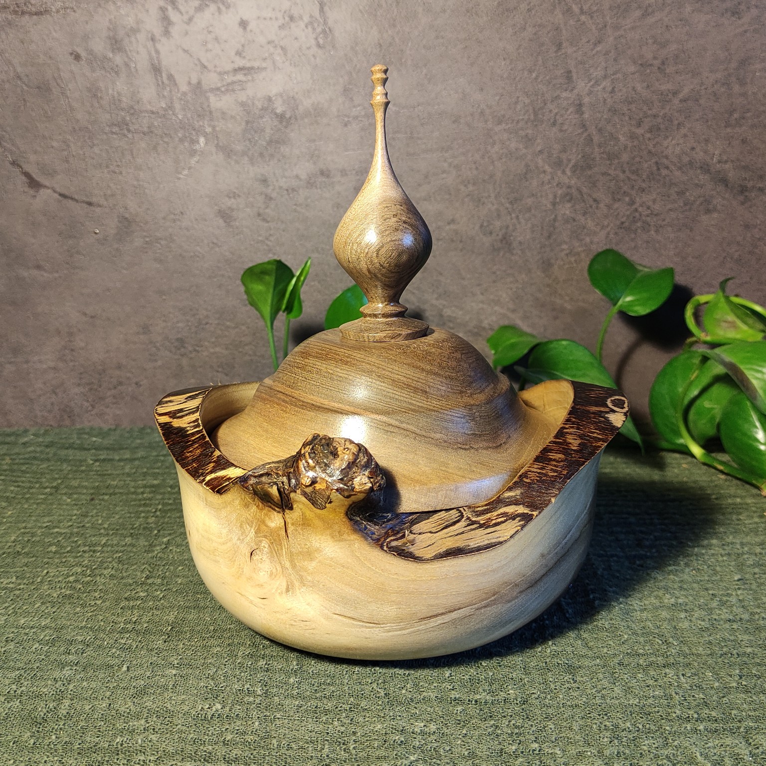 شکلات خوری لبه پوستی کد020