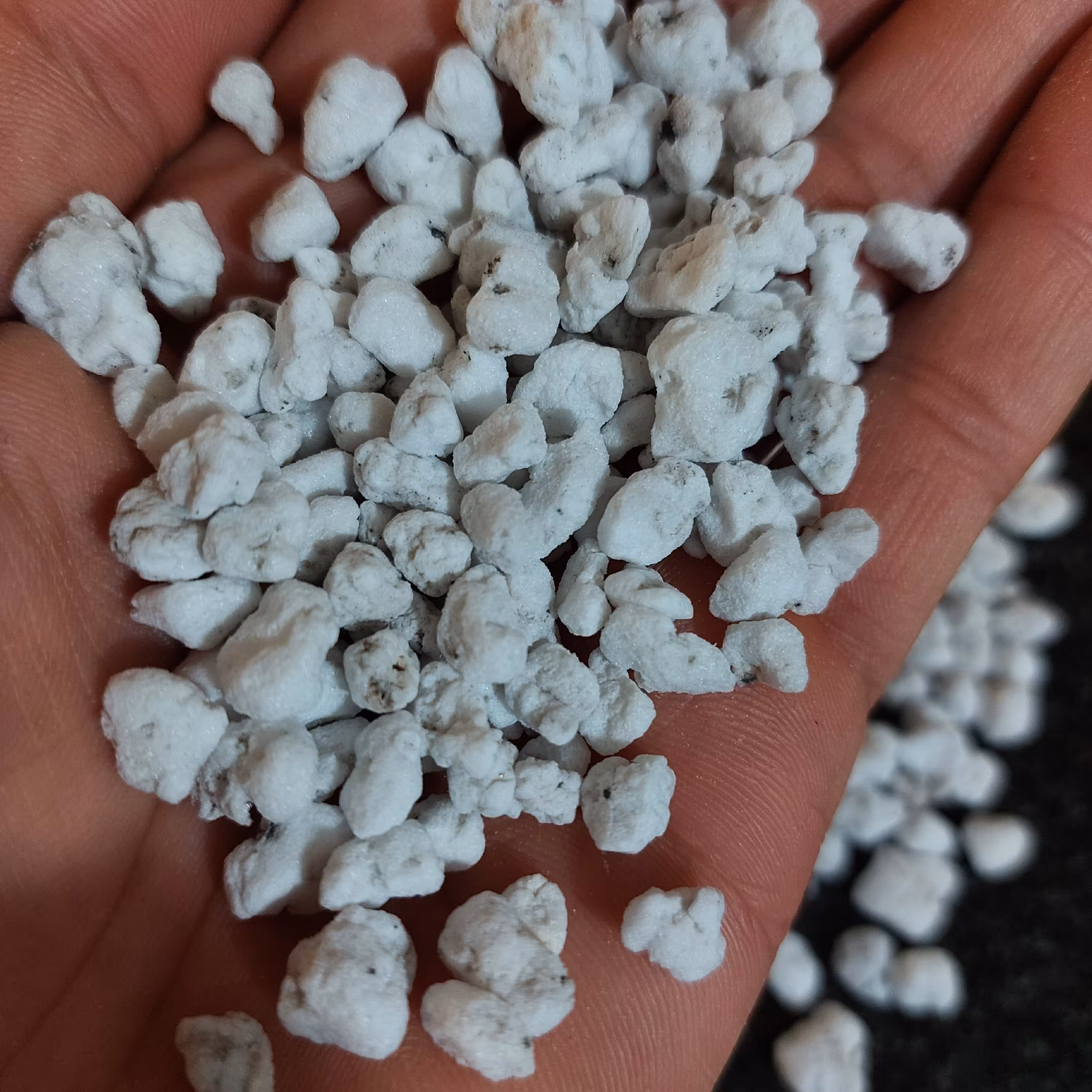 پرلیت دانه درشت  برای زهکشی گلدان و بستر کشت، سه لیتری