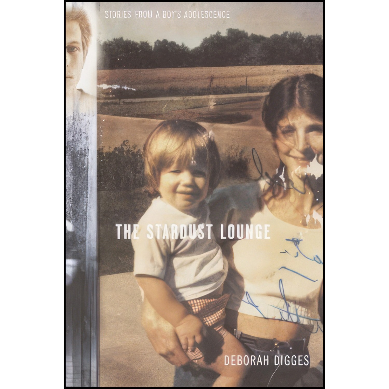 کتاب زبان اصلی The Stardust Lounge اثر Deborah Digges