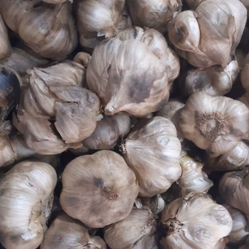 سیر سیاه همدان نیم کیلویی عطاری دستانی 