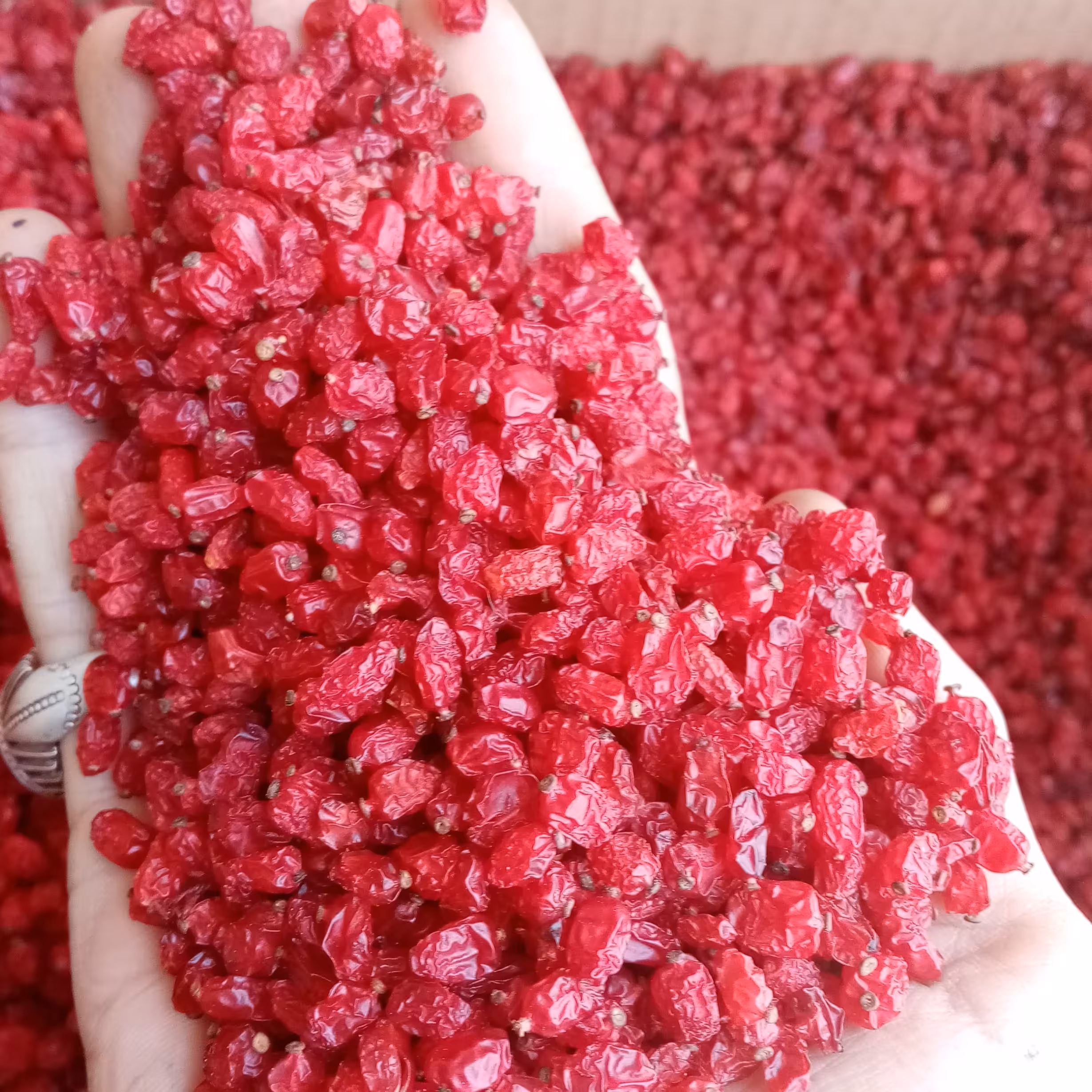 زرشک پفکی درجه یک