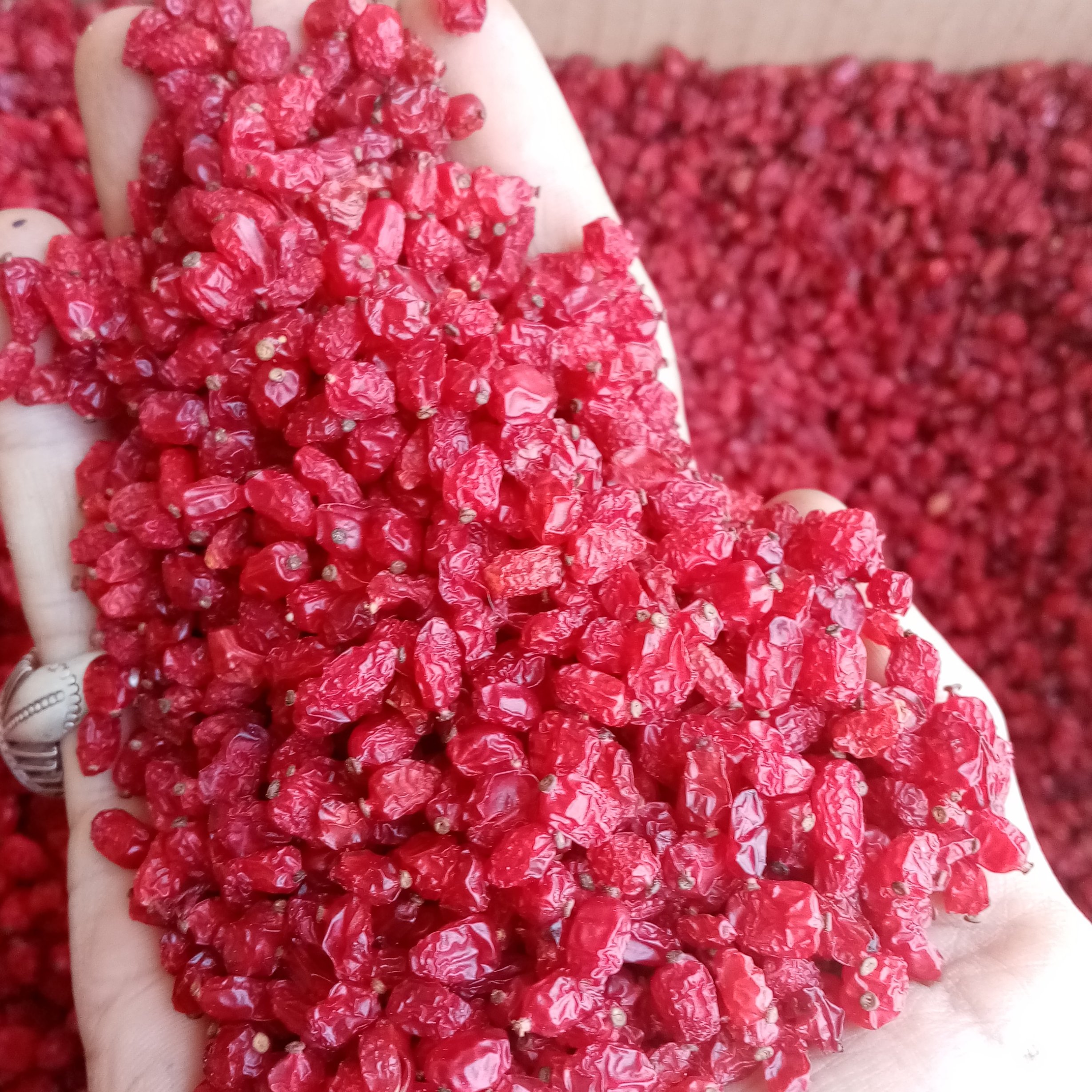 زرشک پفکی درجه یک