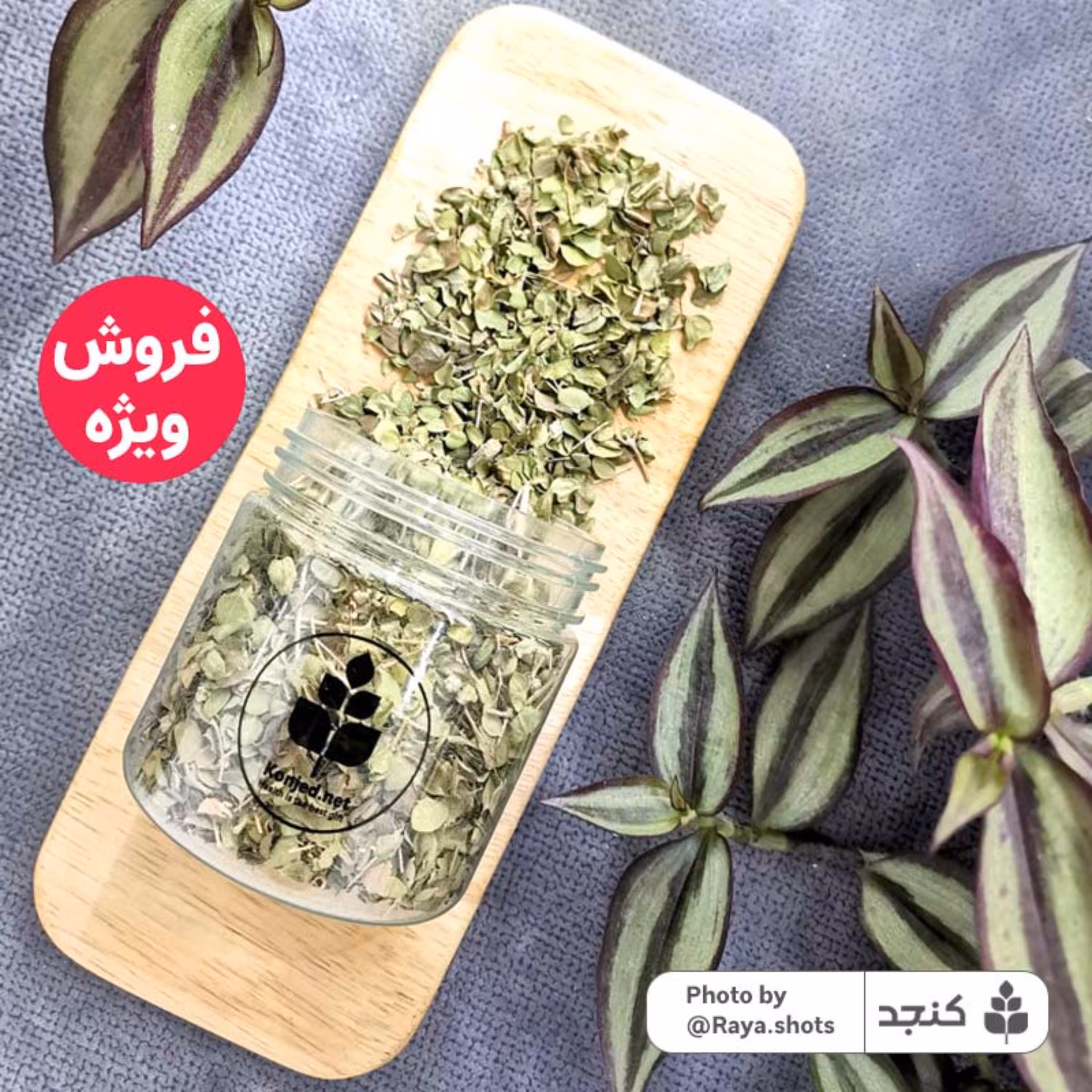 برگ آویشن شیرازی خالص 100گرمی (تضمین کیفیت) کنجد