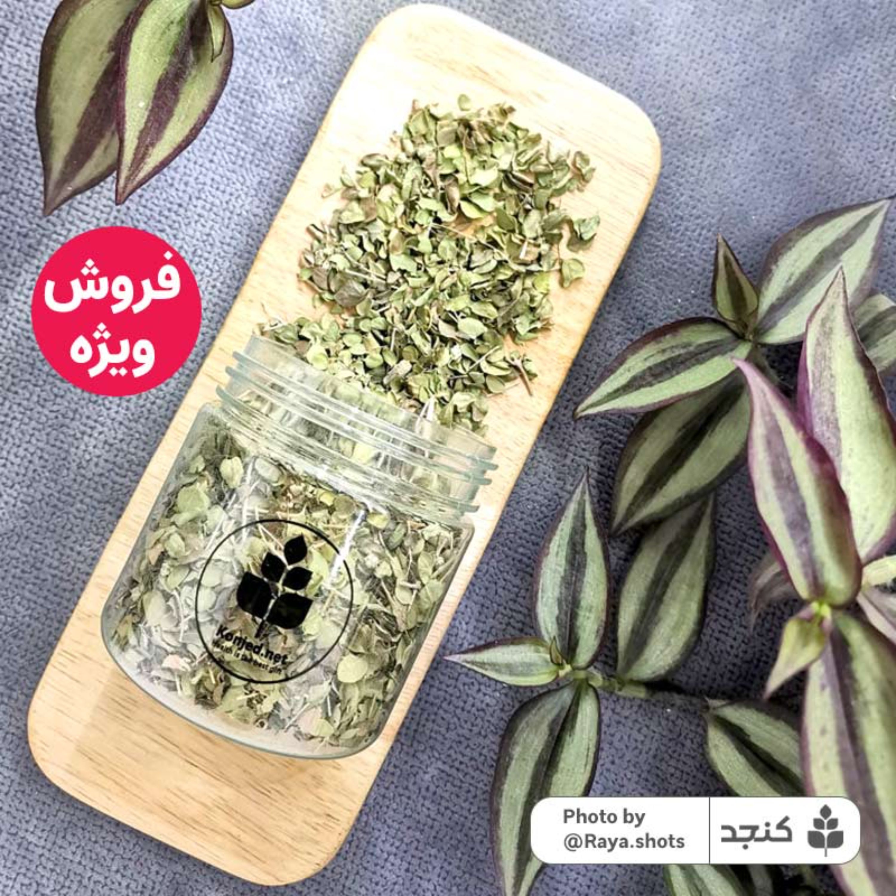 برگ آویشن شیرازی خالص 100گرمی (تضمین کیفیت) کنجد