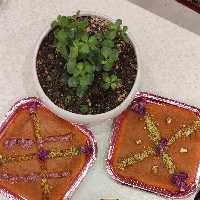 حلوا عربی مجلسی 