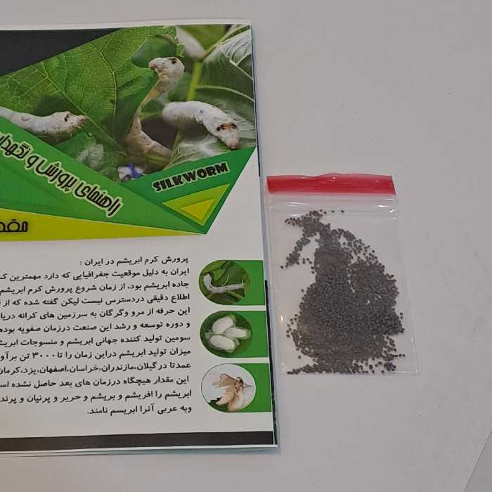 بسته ی آموزشی هزار عددی تخم کرم ابریشم نوغان