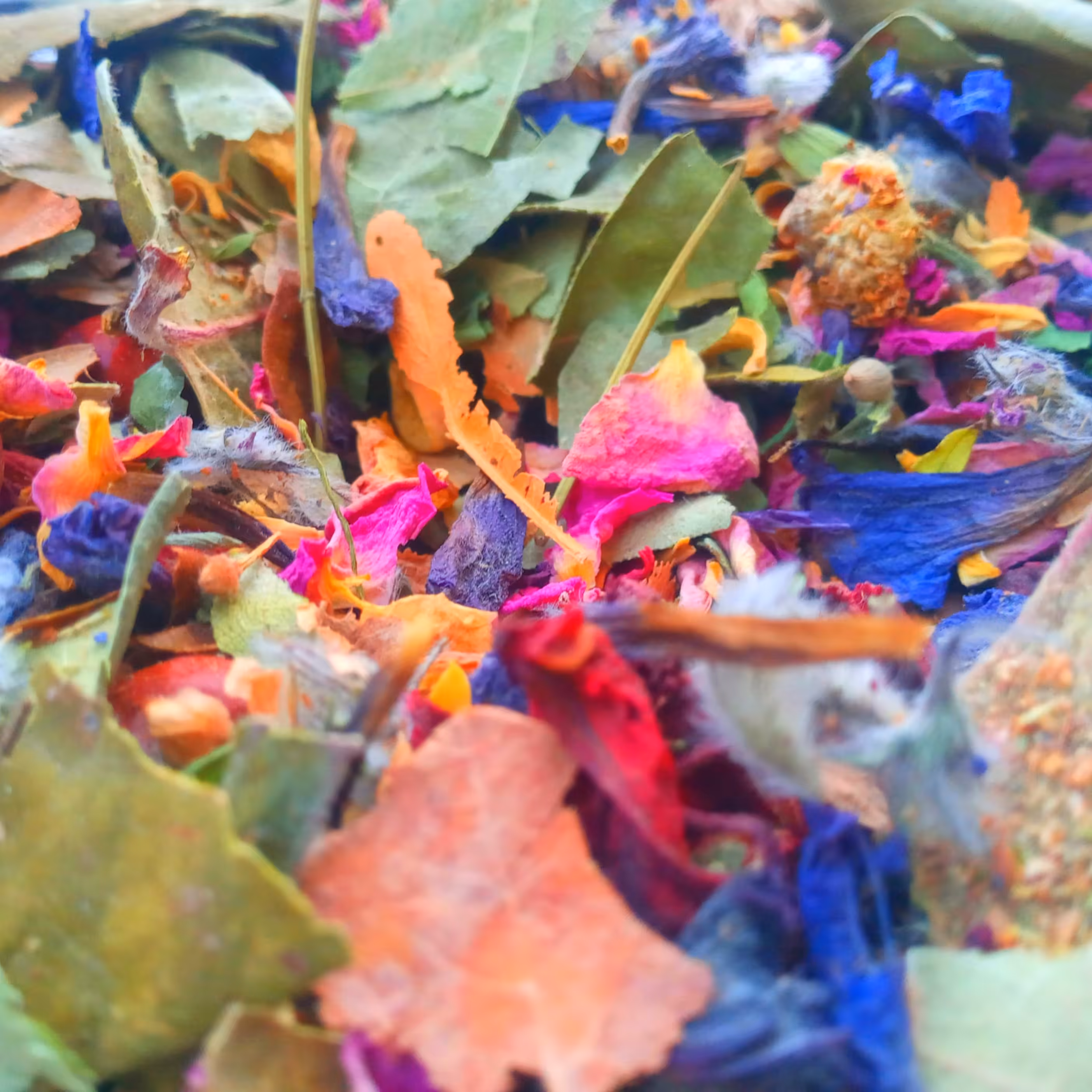 هفت گیاه مفرح (معجون آرام بخش )