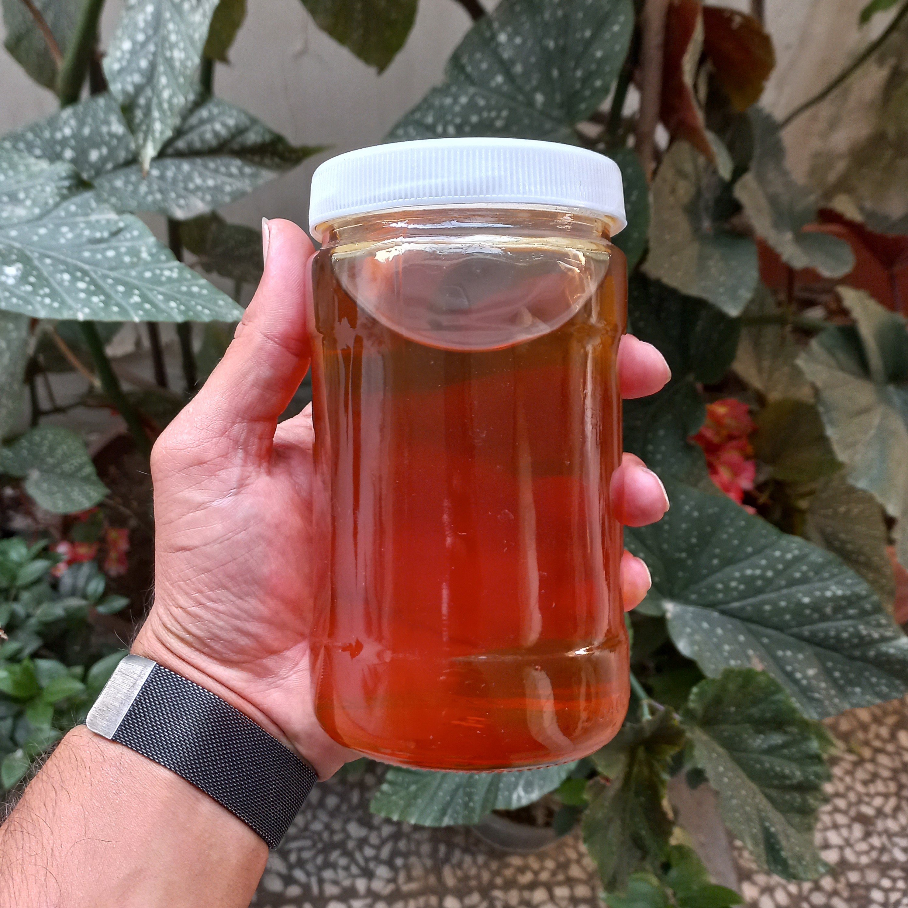 عسل باریجه لار دارای تاییدیه سازمان دیابت کیلویی 450000 تومن