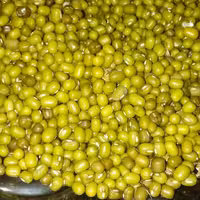 ماش محلی ودیم شمال در وزن 1000گرم