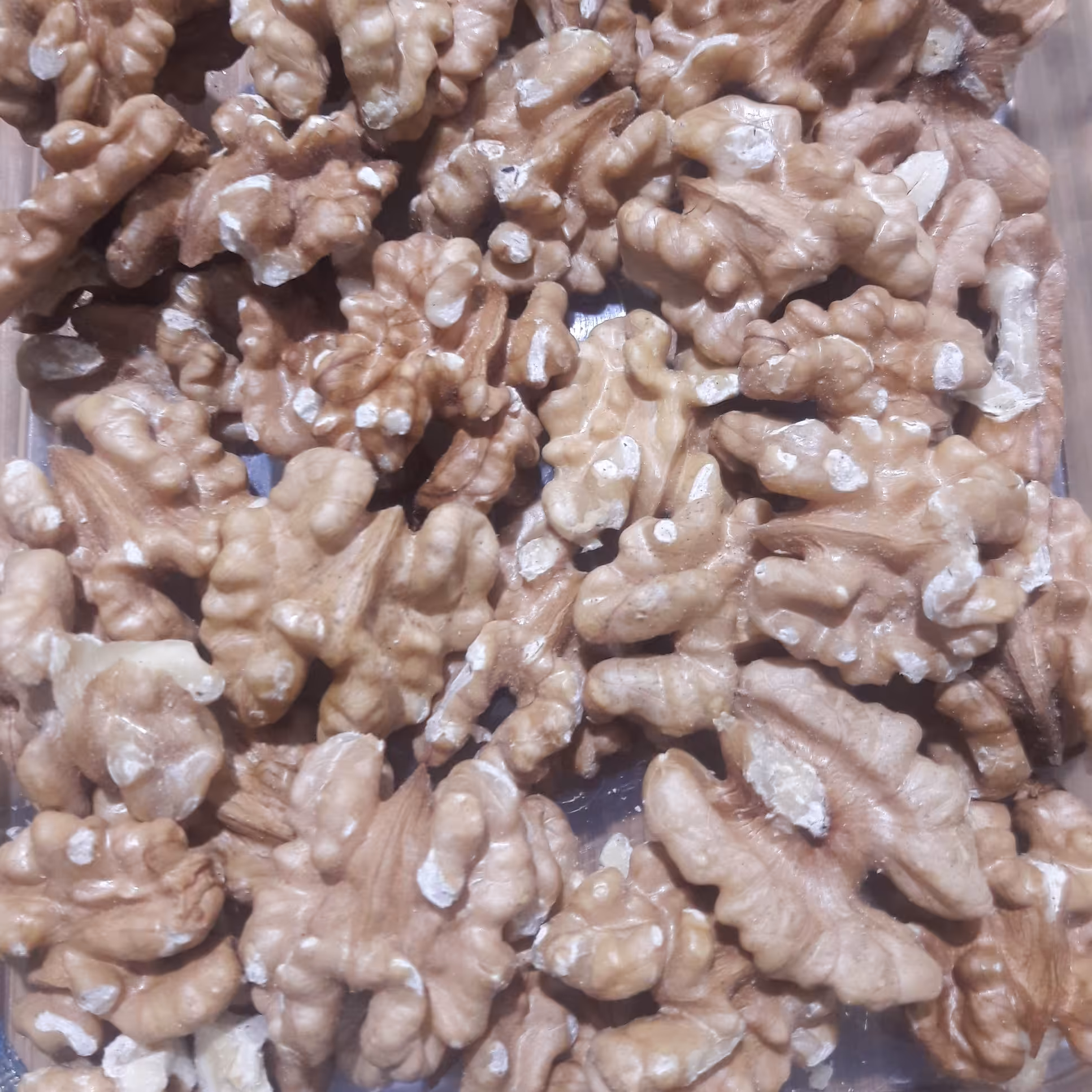 مغز گردو سفید و پرچرب درجه یک روز شکن