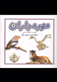کتاب مهره داران نشر عسل نشر