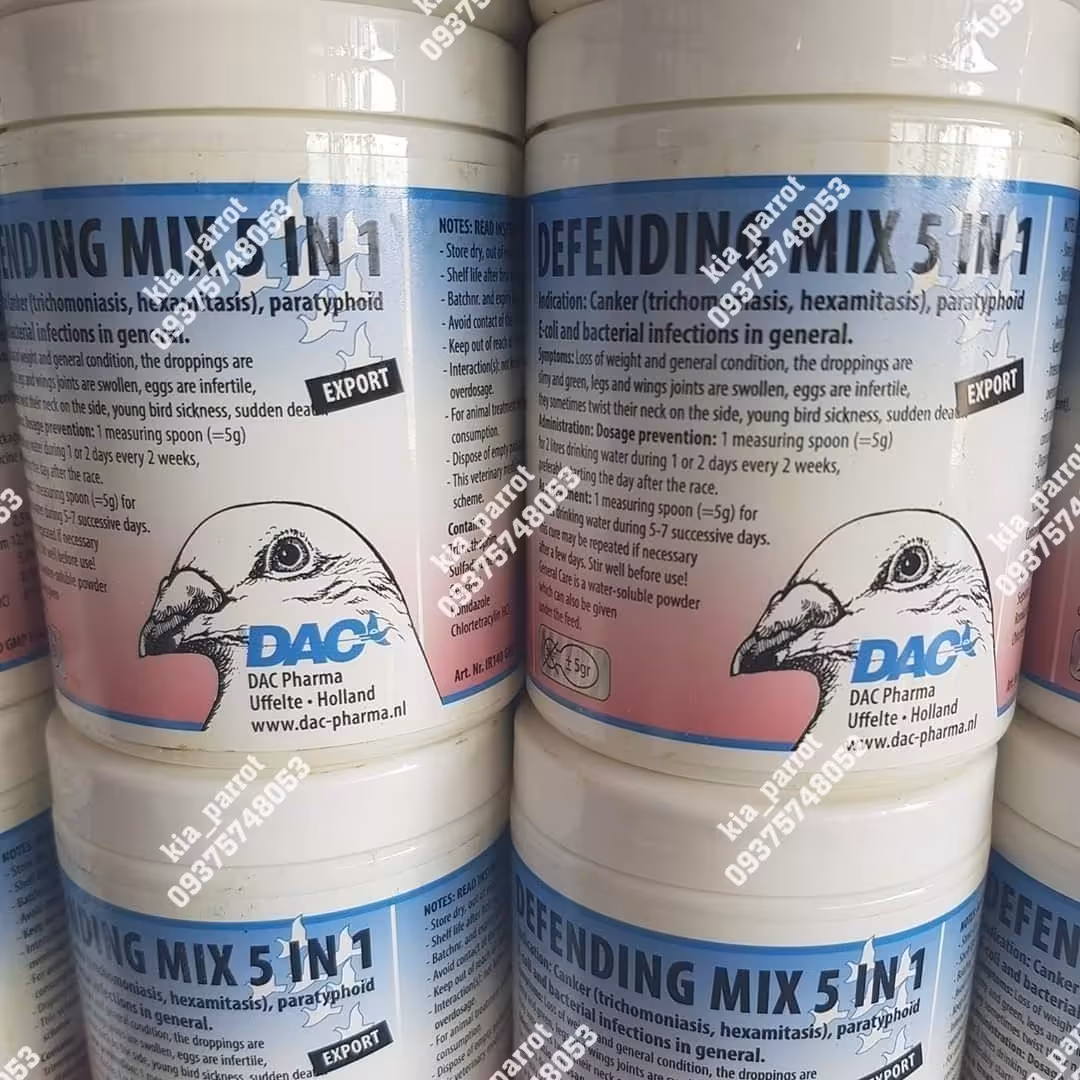 5 در 1 پرندگان داک هلند- 10 گرمی 