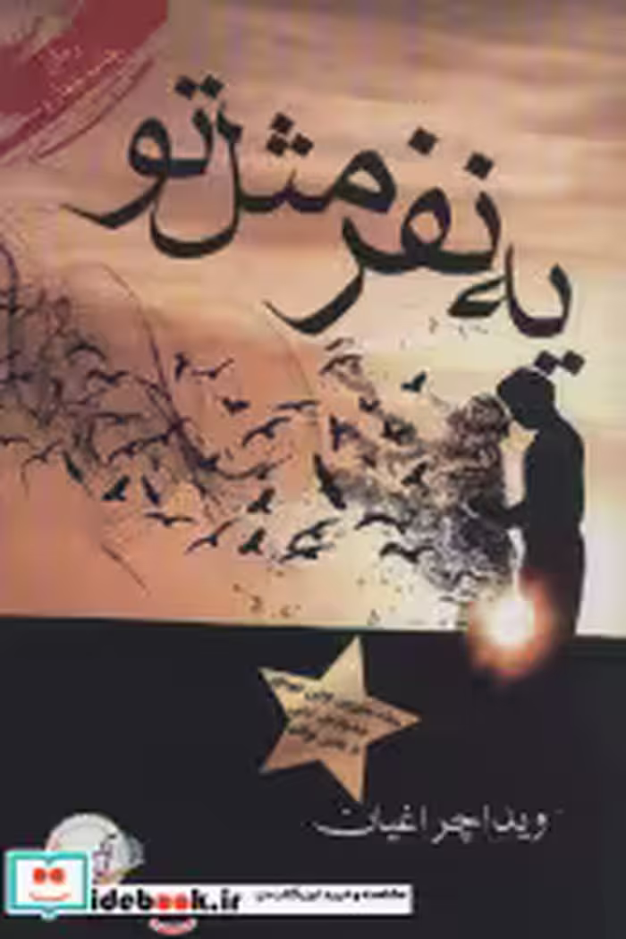 قیمت و خرید کتاب یه نفر مثل تو اثر ویدا چراغیان | ایده بوک