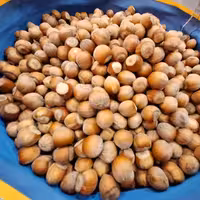 فندوق تازه الموت درجه یک(بسته 5 کیلویی)