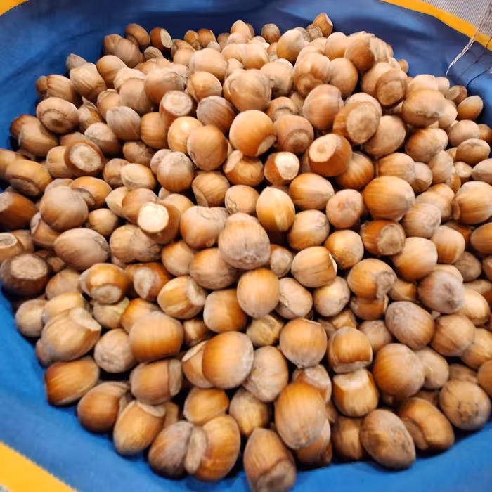 فندوق تازه الموت درجه یک(بسته 5 کیلویی)