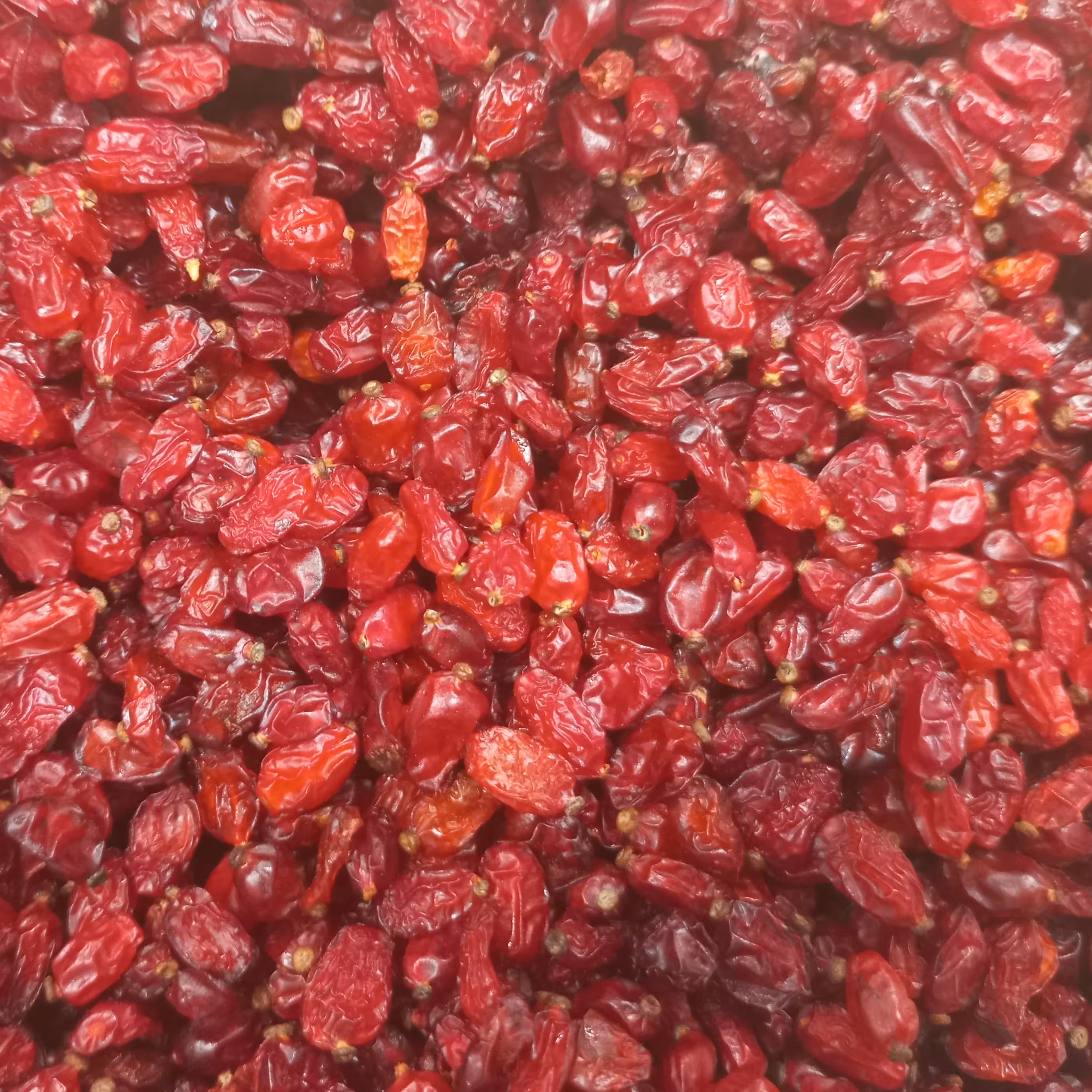 زرشک پفکی (500 گرمی)