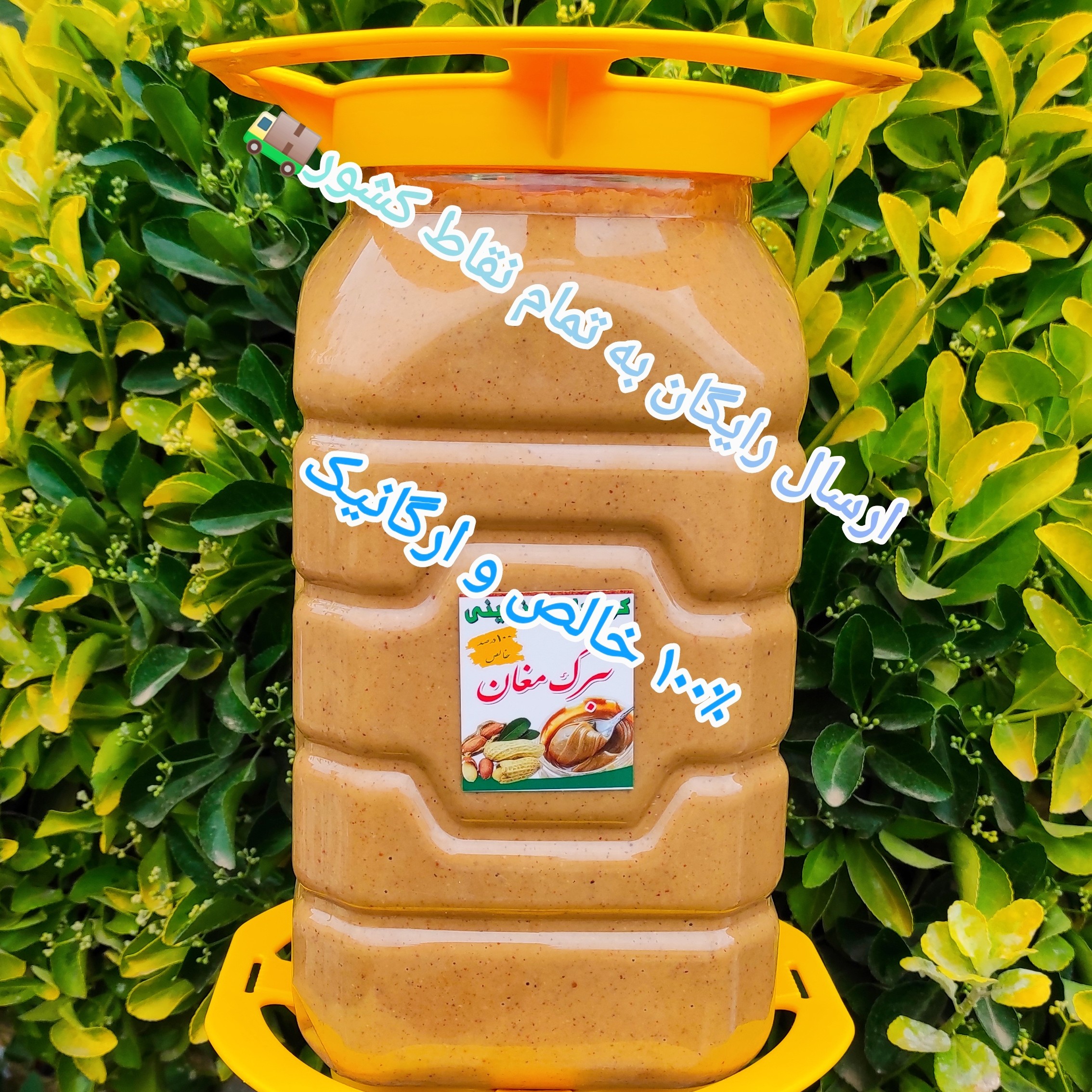 کره بادام زمینی ایرانی خالص 5.4 کیلویی تبرک مغان درجه یک و بهداشتی امسال تازه