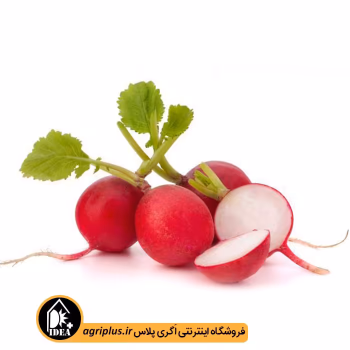 بذر تربچه گرد بسته بندی خانگی